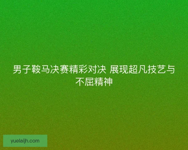 男子鞍马决赛精彩对决 展现超凡技艺与不屈精神